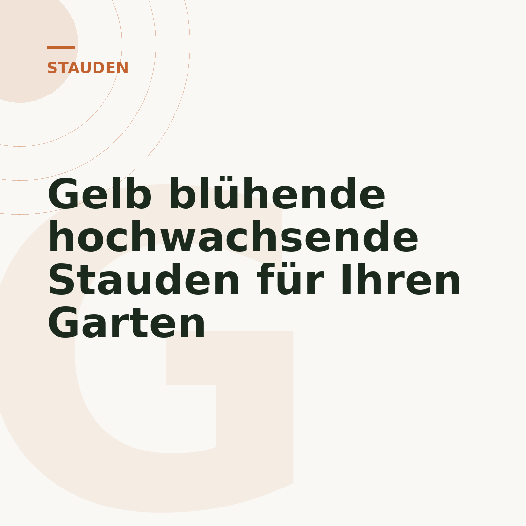 Gelb blühende hochwachsende Stauden für Ihren Garten