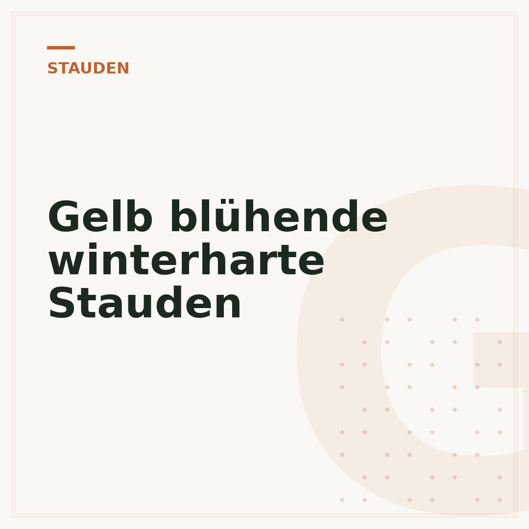 Gelb blühende winterharte Stauden