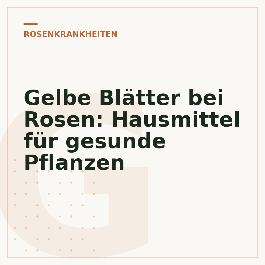 Gelbe Blätter bei Rosen: Hausmittel für gesunde Pflanzen