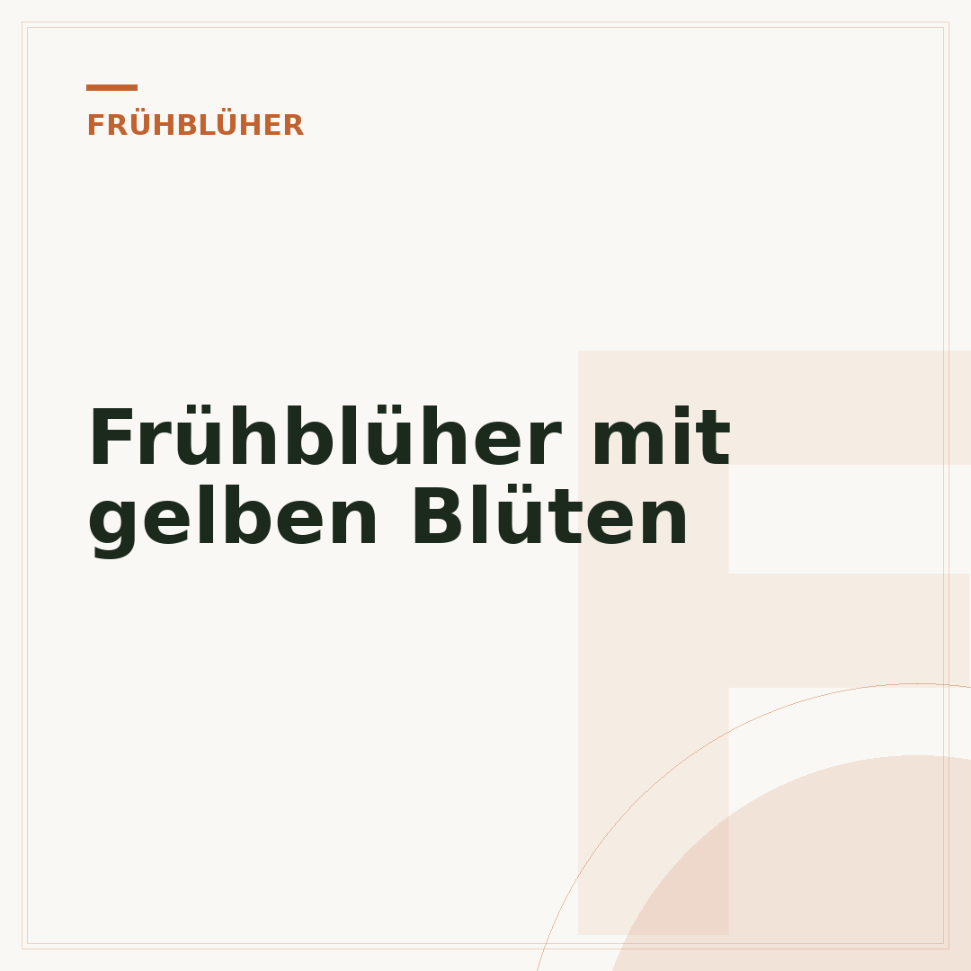 Frühblüher mit gelben Blüten