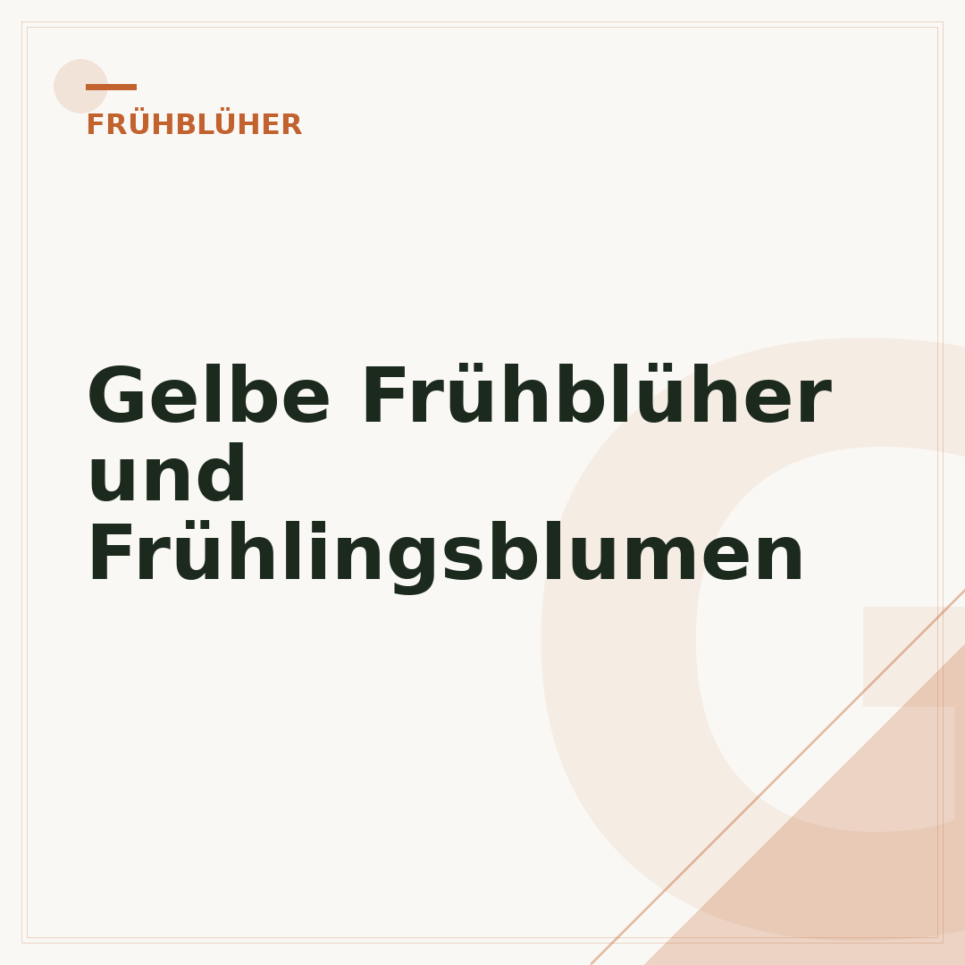 Gelbe Frühblüher und Frühlingsblumen