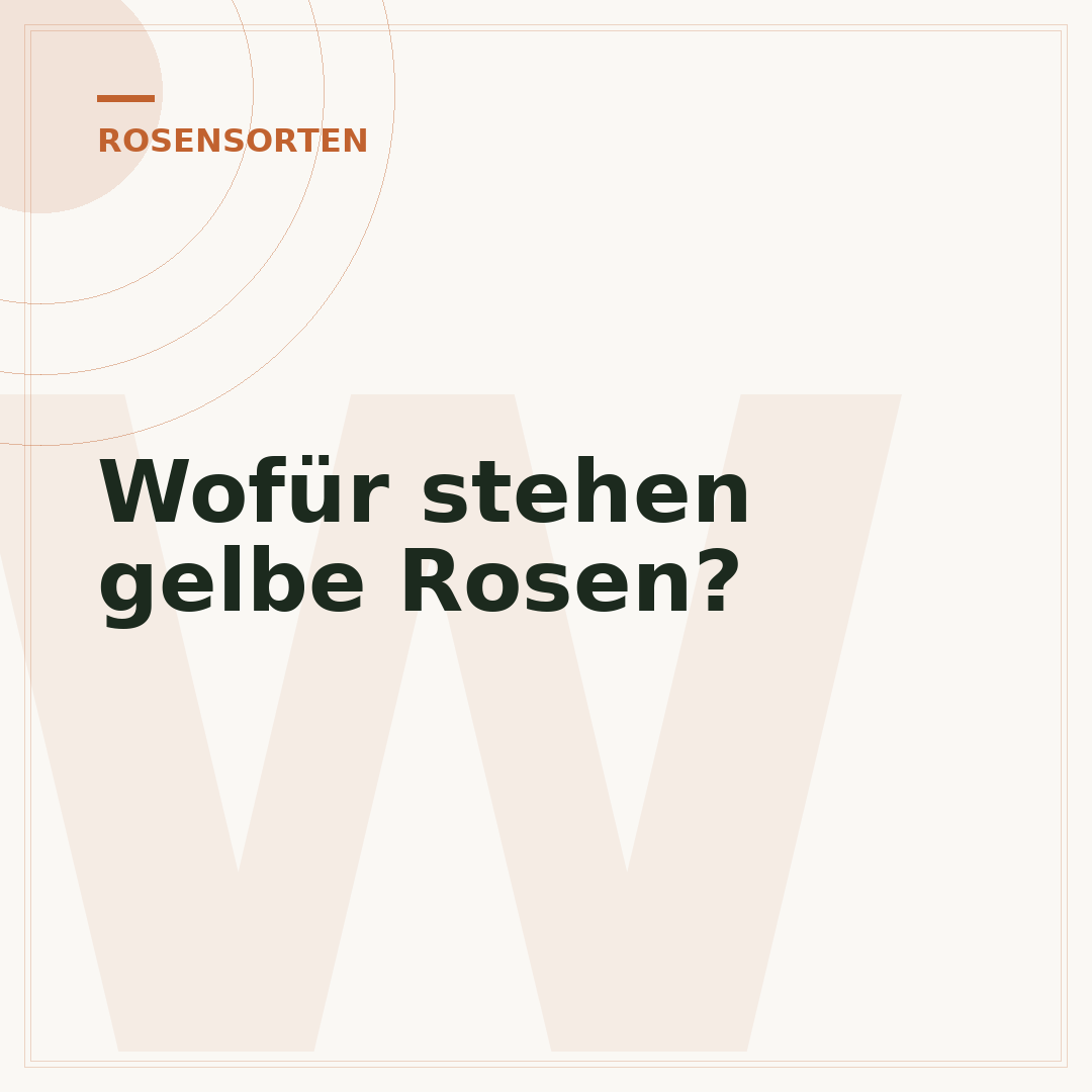 Wofür stehen gelbe Rosen?