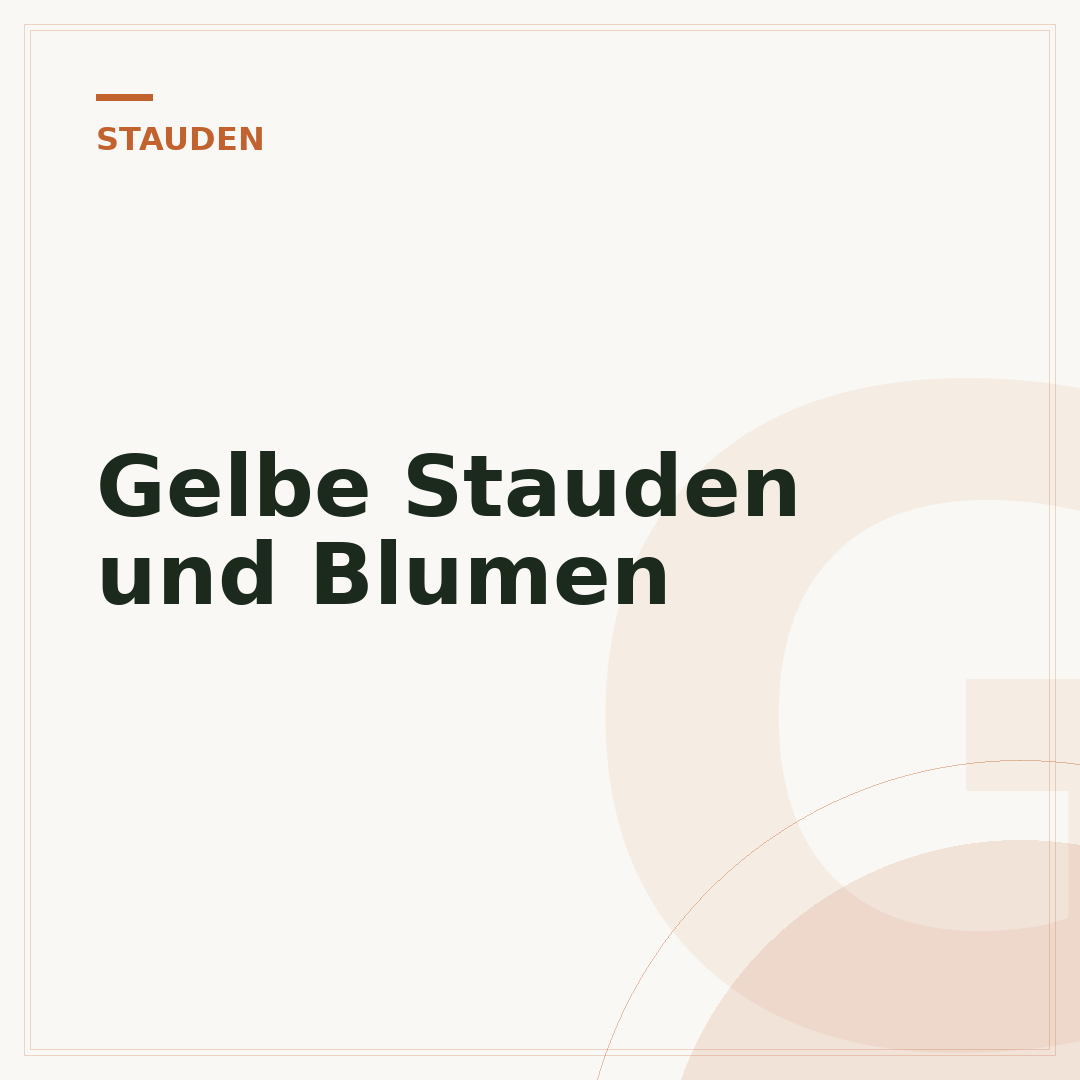 Gelbe Stauden und Blumen