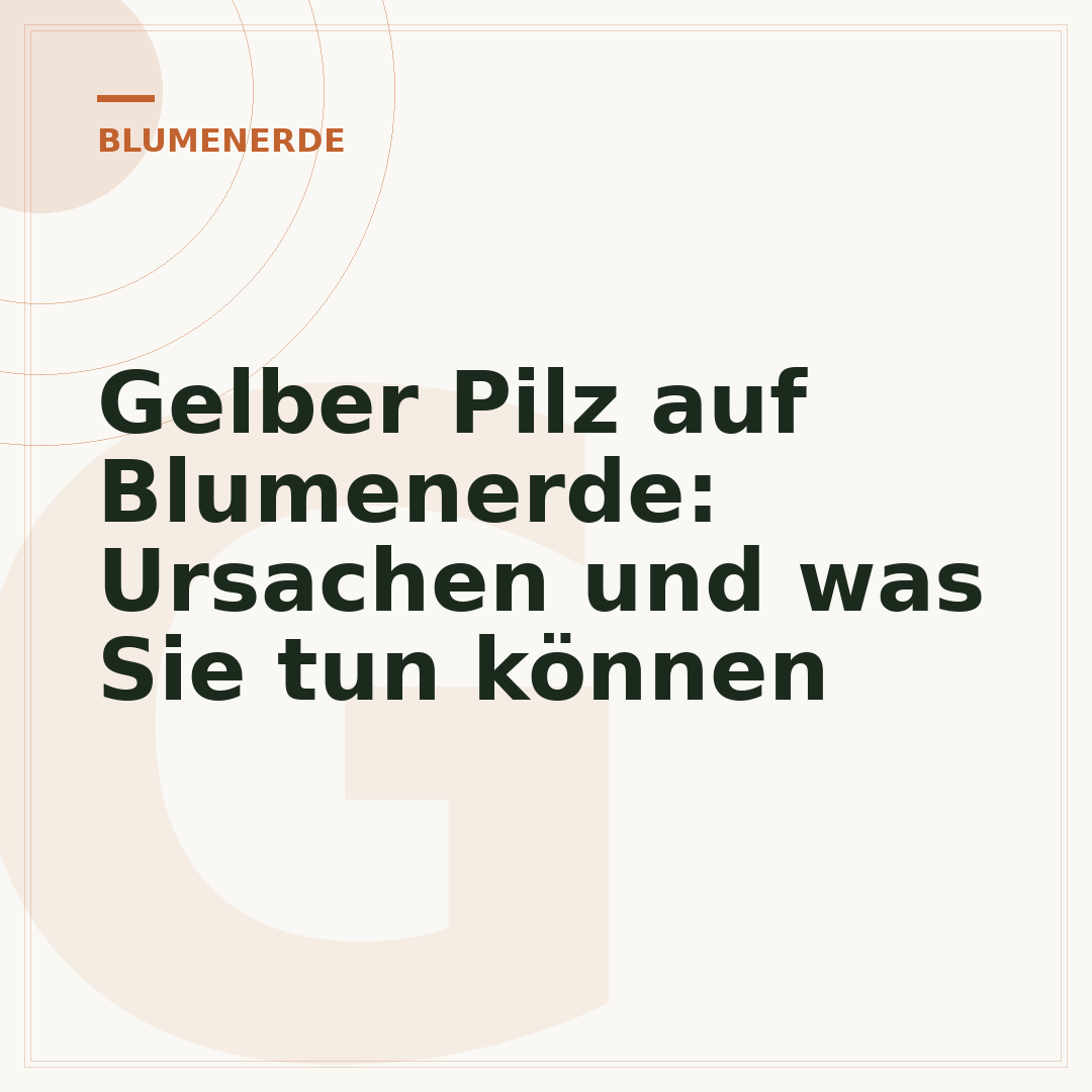 Gelber Pilz auf Blumenerde: Ursachen und was Sie tun können