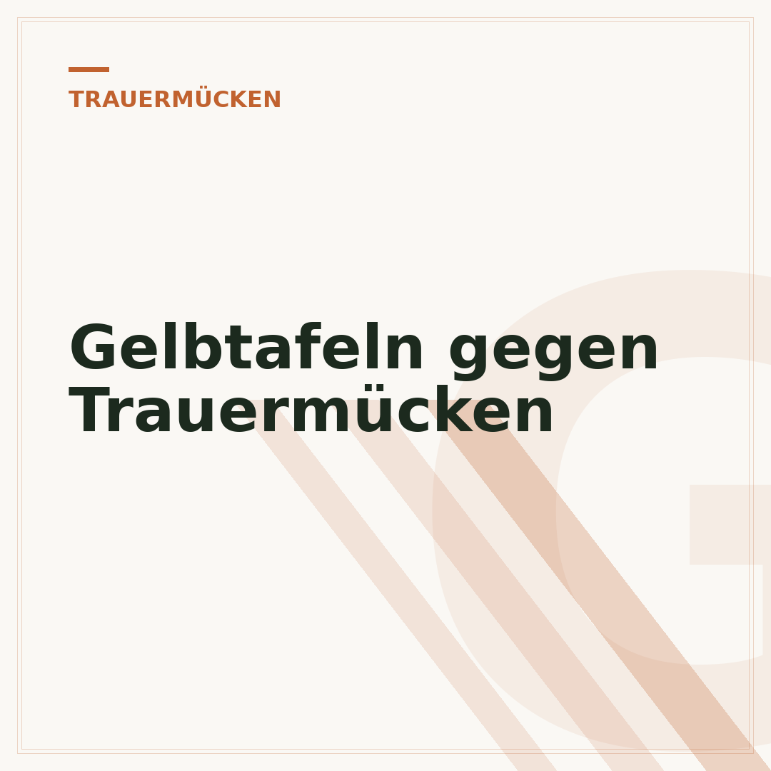 Gelbtafeln gegen Trauermücken