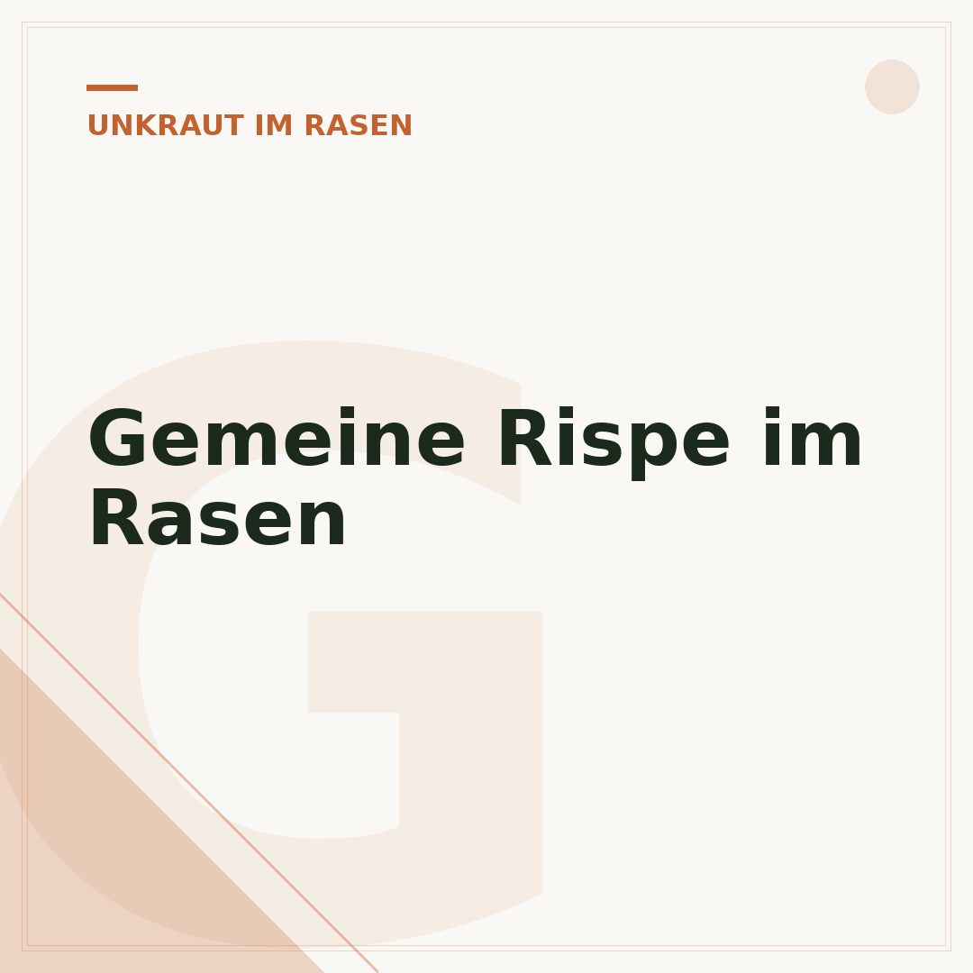 Gemeine Rispe im Rasen