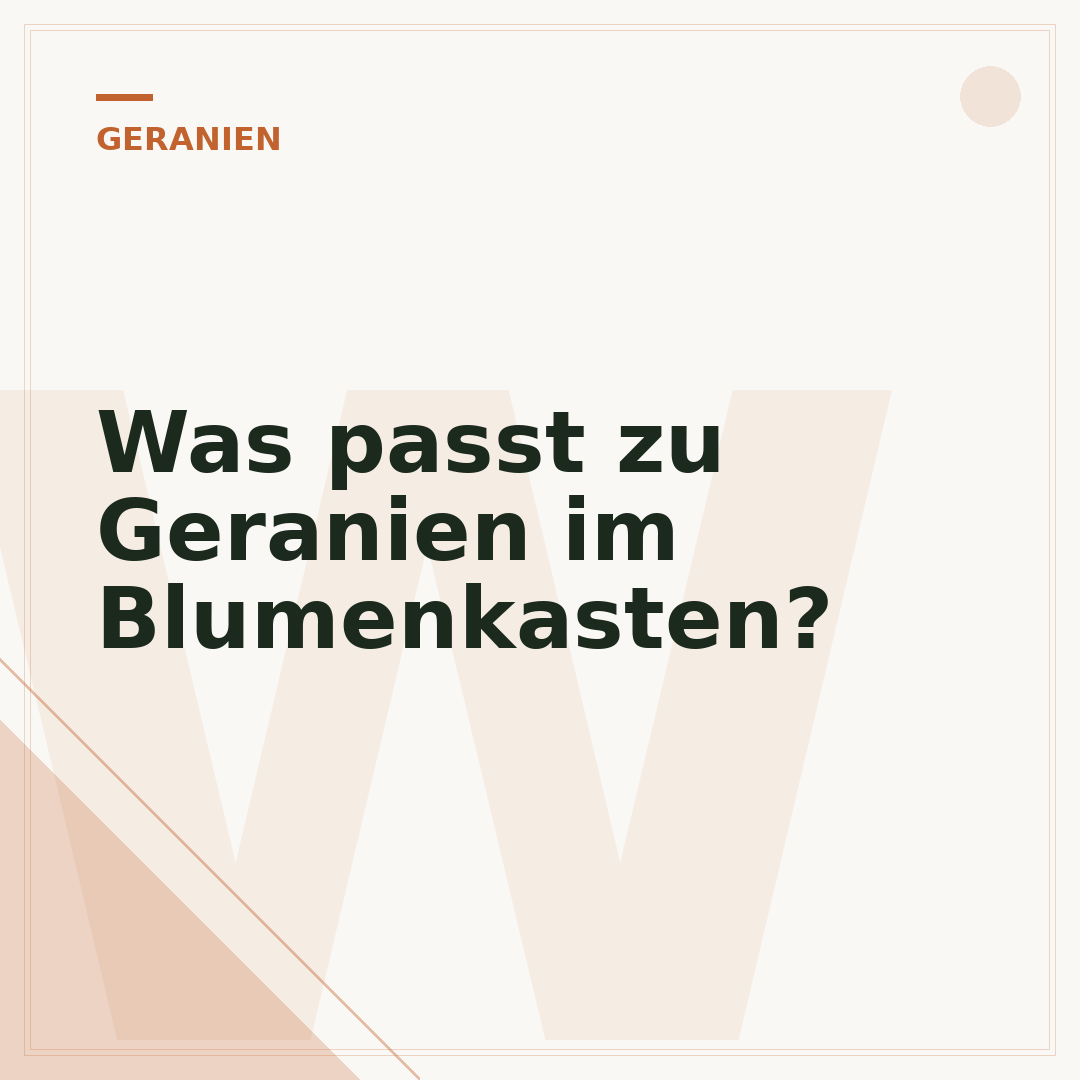 Was passt zu Geranien im Blumenkasten?