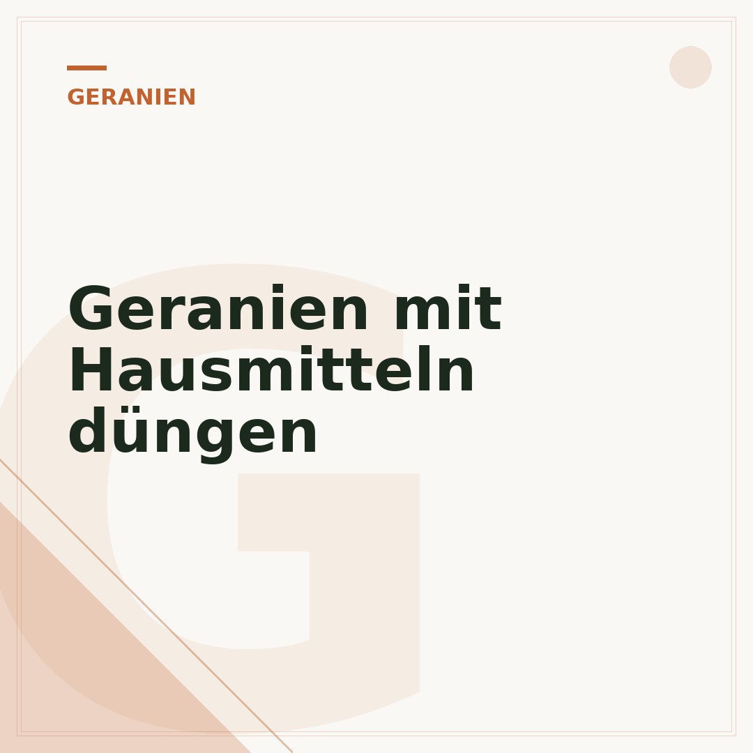 Geranien mit Hausmitteln düngen