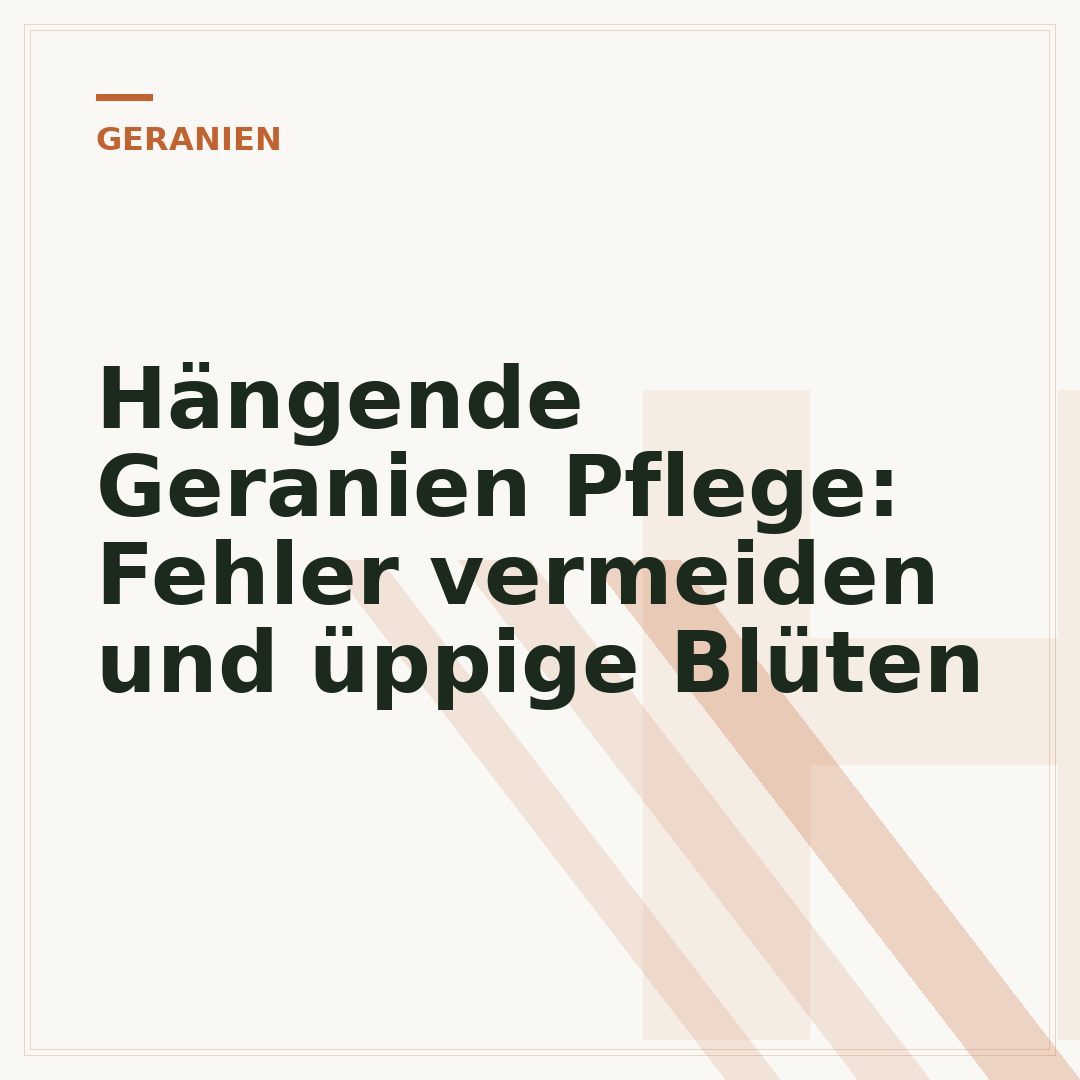 Hängende Geranien Pflege: Fehler vermeiden und üppige Blüten