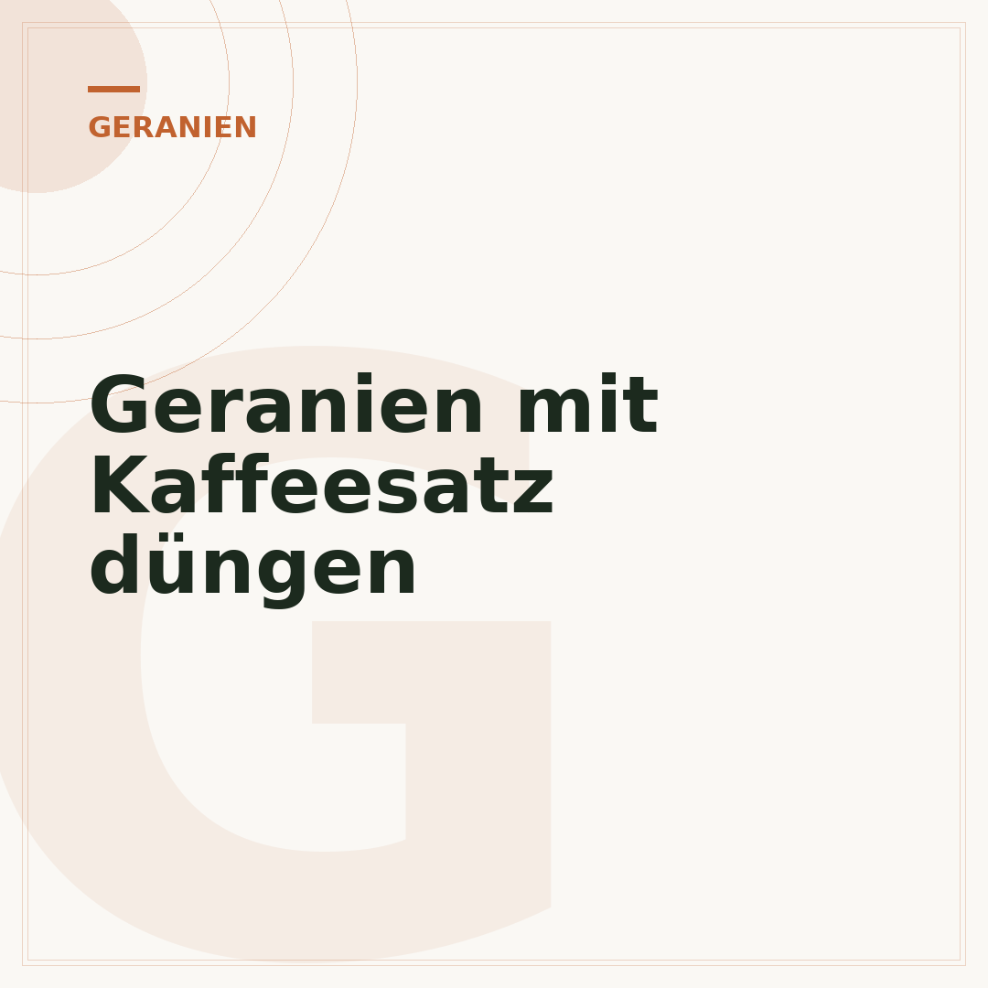 Geranien mit Kaffeesatz düngen