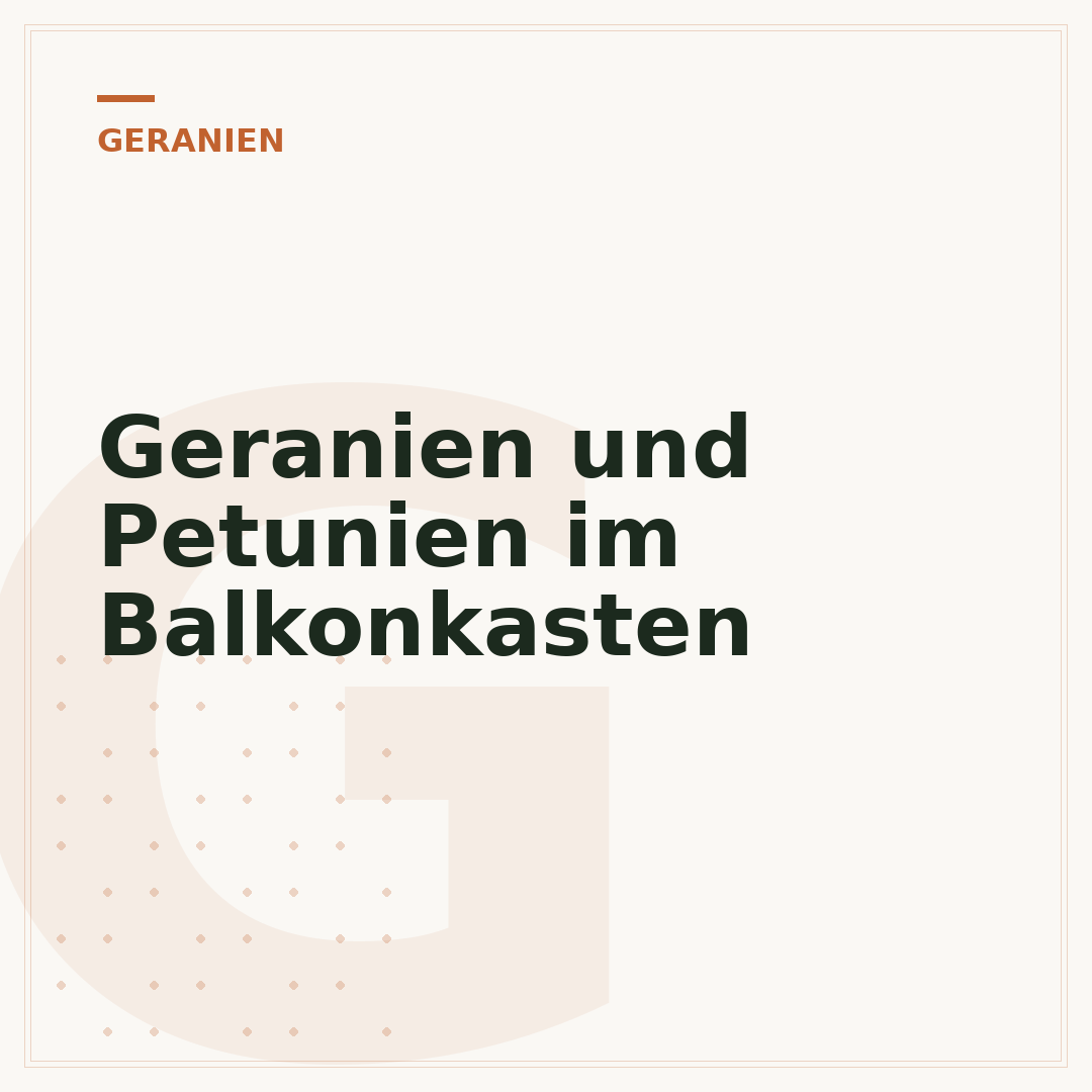 Geranien und Petunien im Balkonkasten