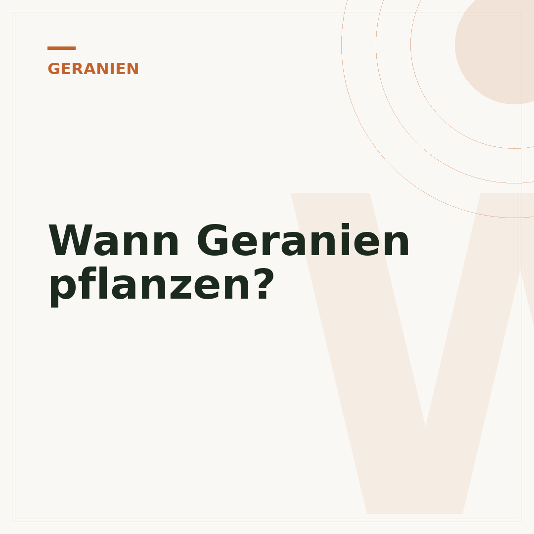 Wann Geranien pflanzen?