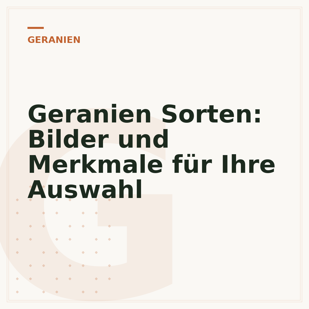 Geranien Sorten: Bilder und Merkmale für Ihre Auswahl
