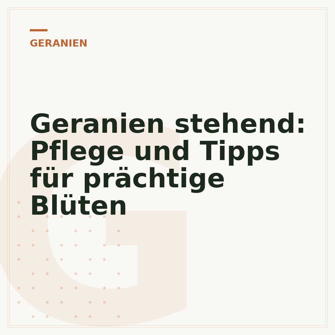 Geranien stehend: Pflege und Tipps für prächtige Blüten