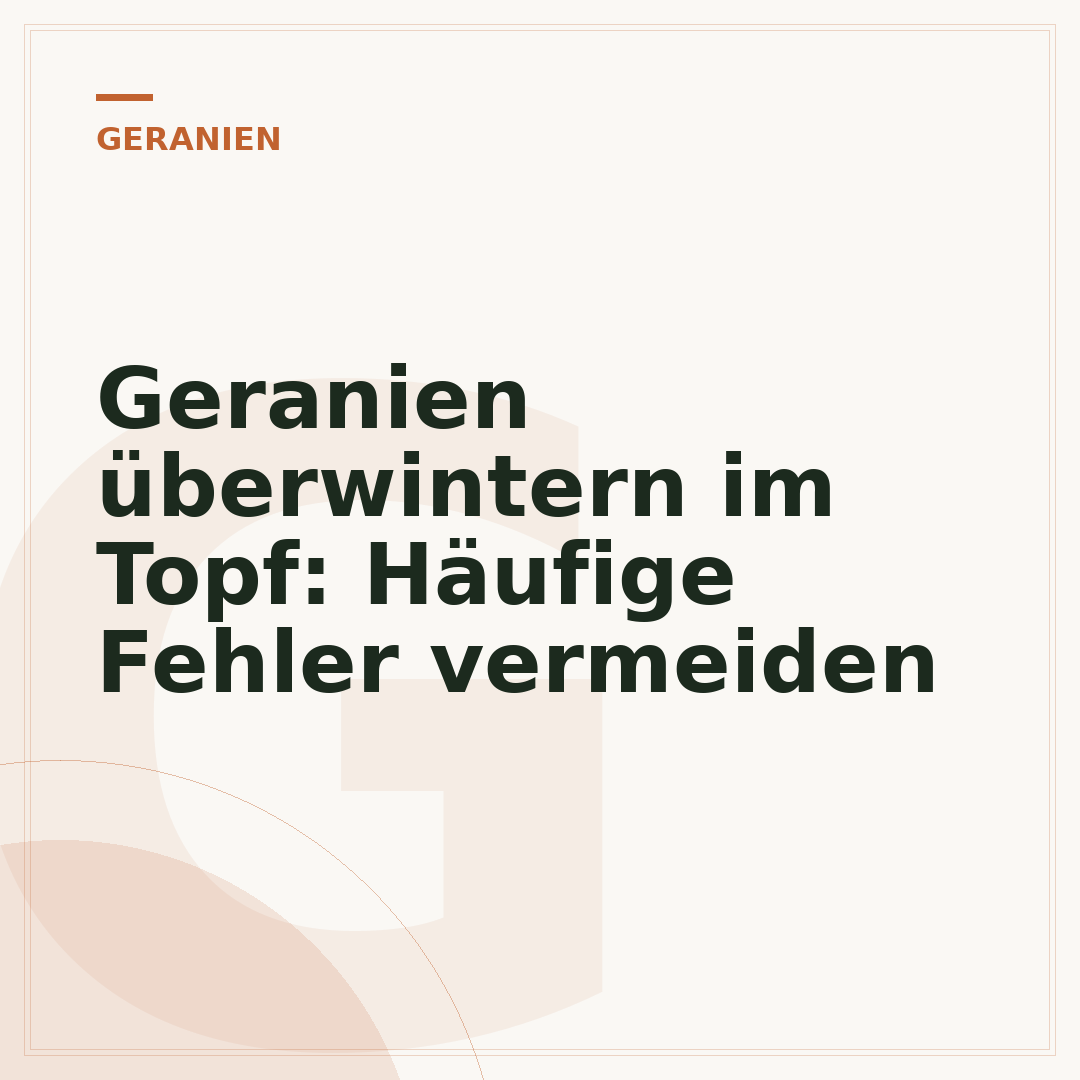 Geranien überwintern im Topf: Häufige Fehler vermeiden