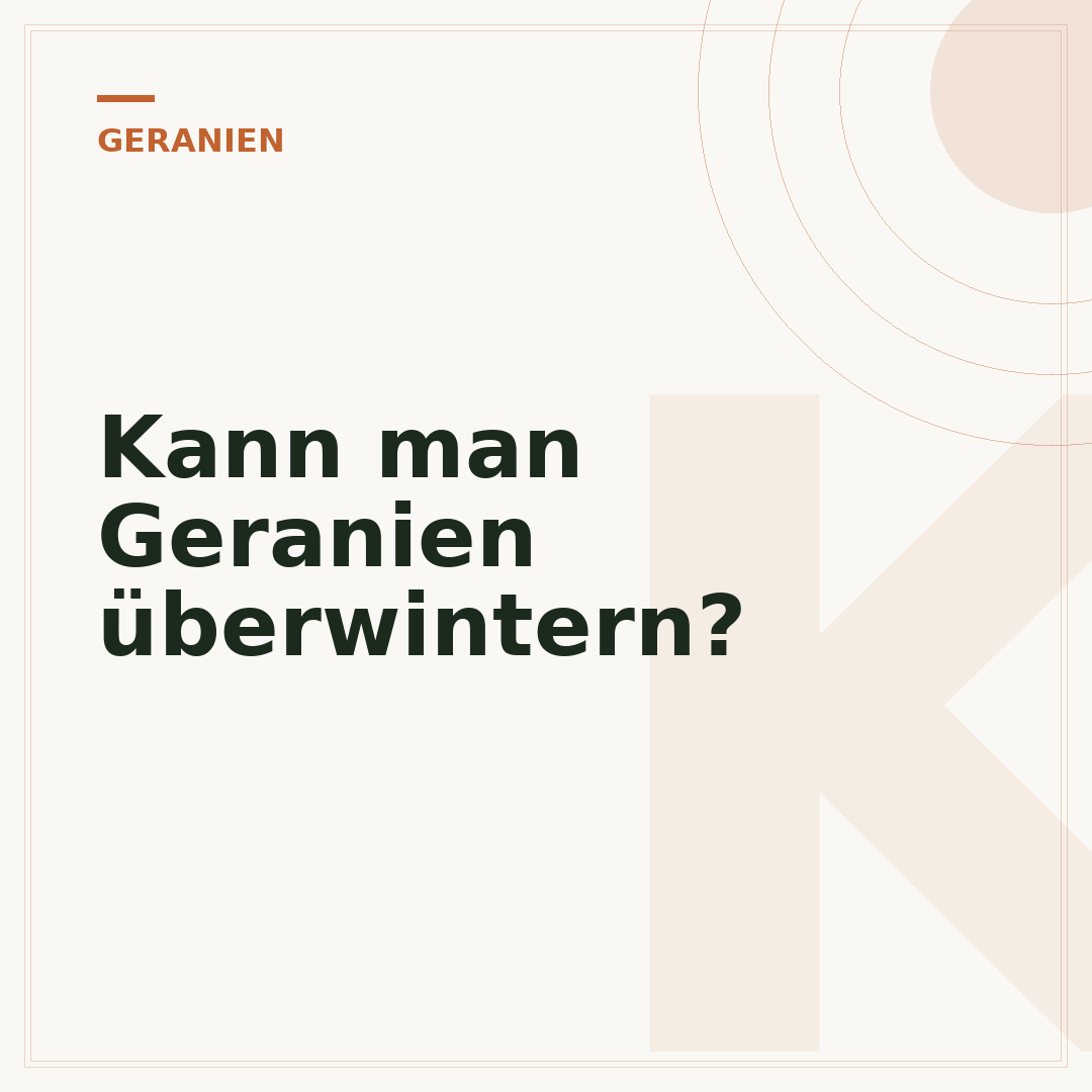 Kann man Geranien überwintern?