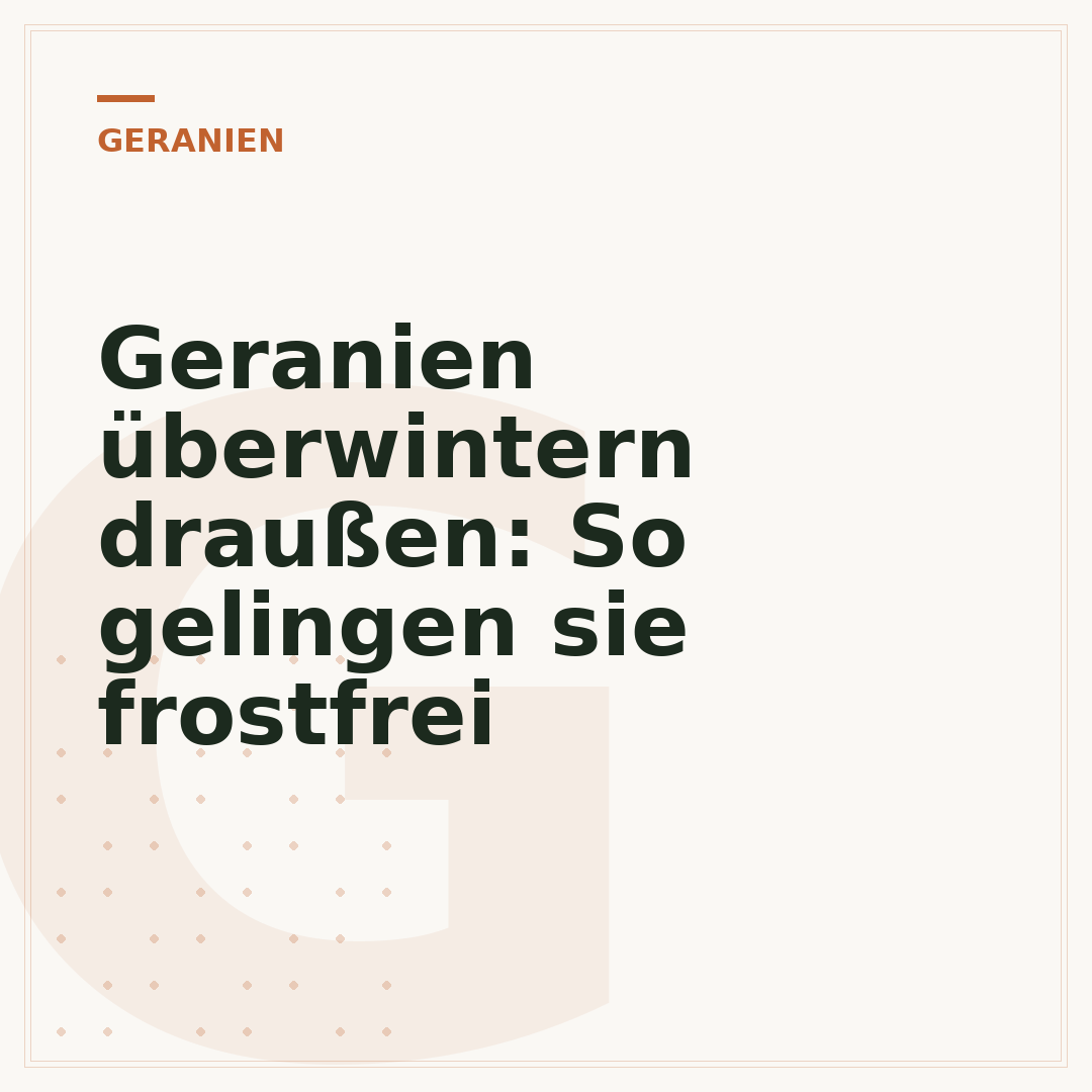 Geranien überwintern draußen: So gelingen sie frostfrei
