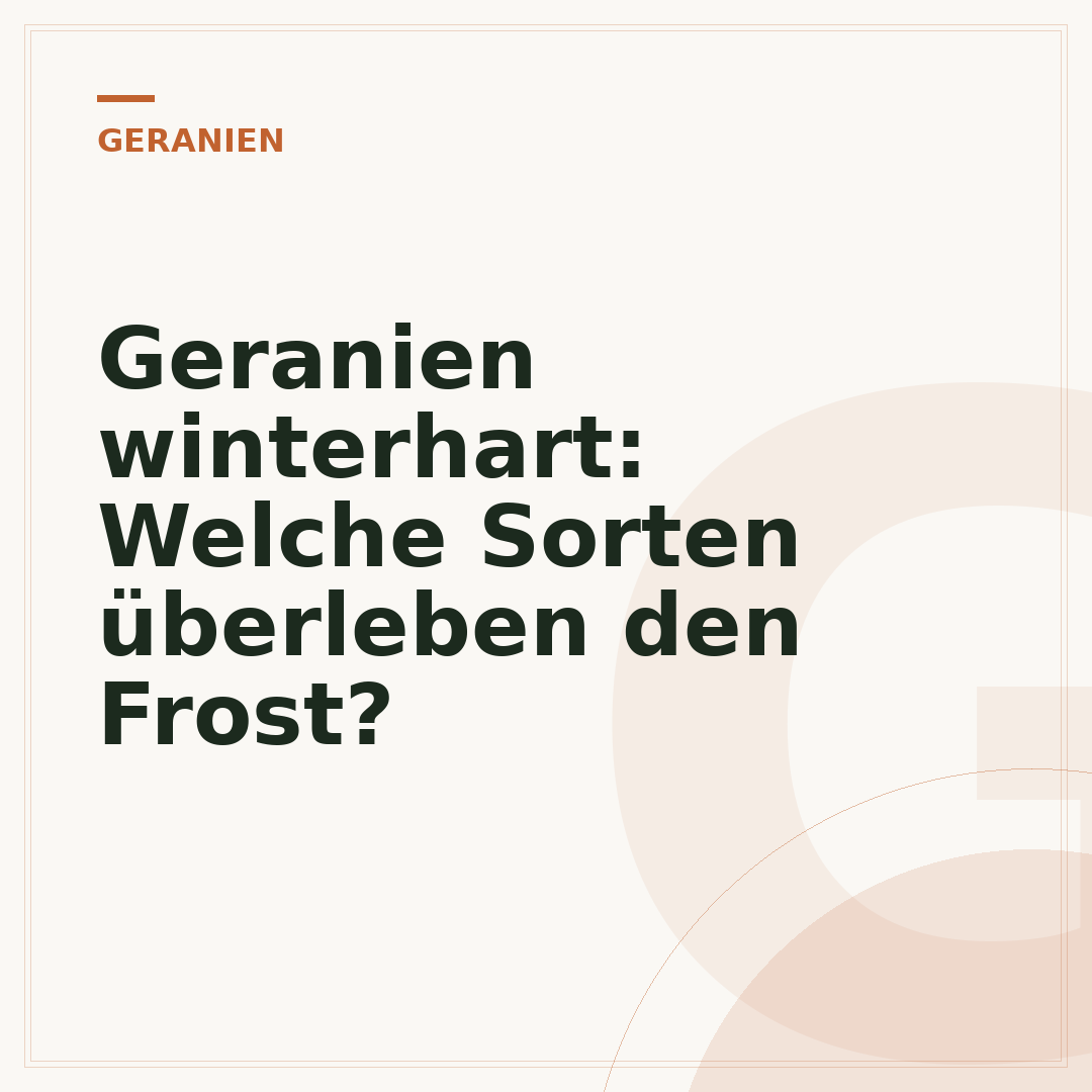 Geranien winterhart: Welche Sorten überleben den Frost?