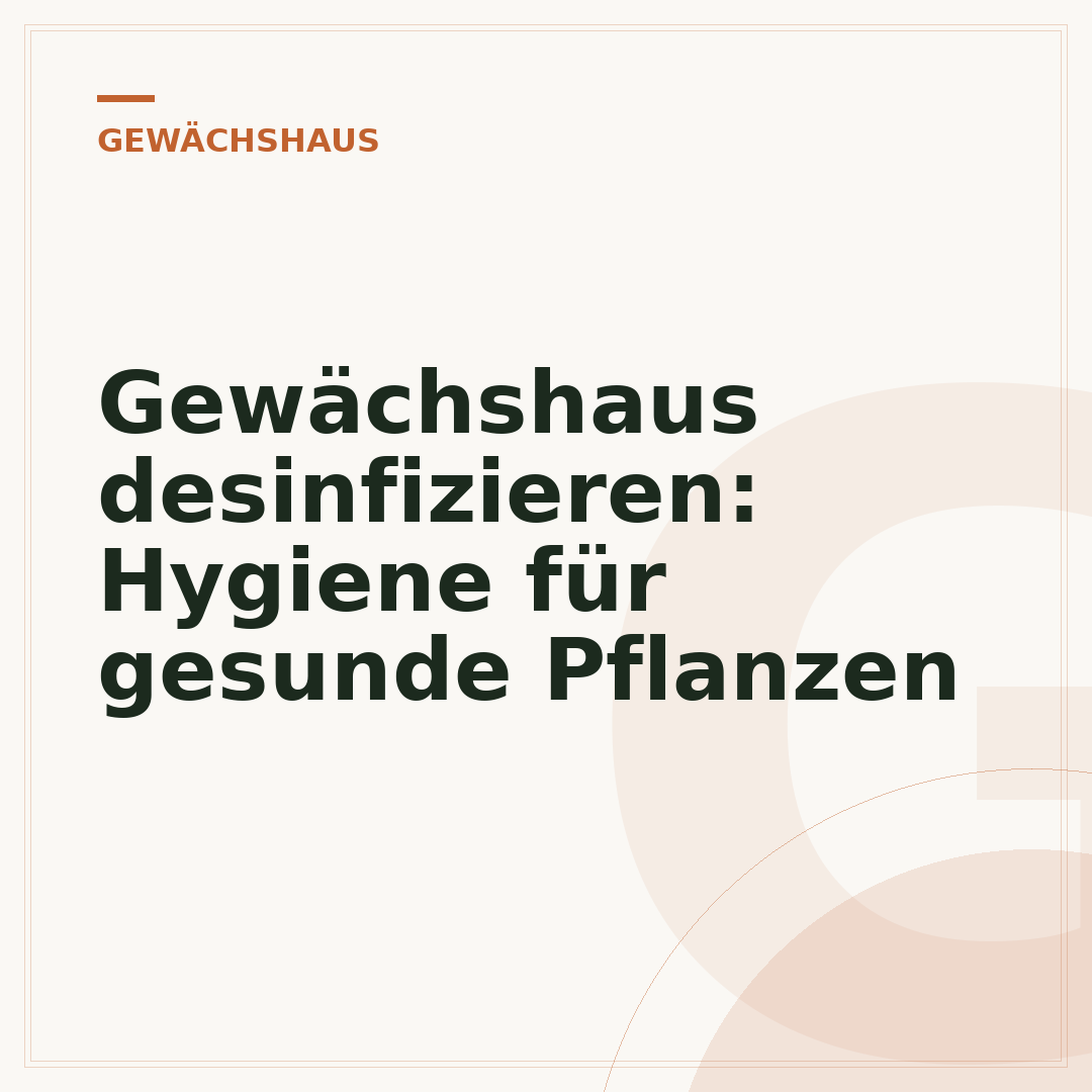 Gewächshaus desinfizieren: Hygiene für gesunde Pflanzen