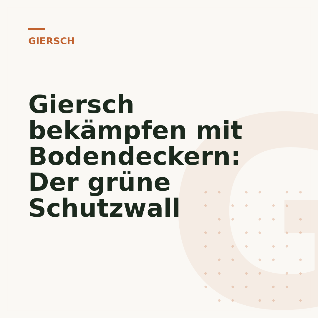 Giersch bekämpfen mit Bodendeckern: Der grüne Schutzwall