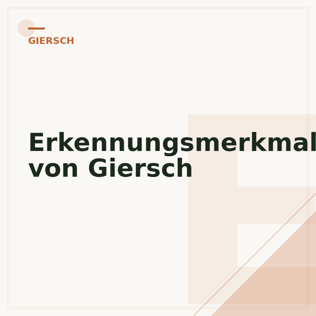 Erkennungsmerkmale von Giersch