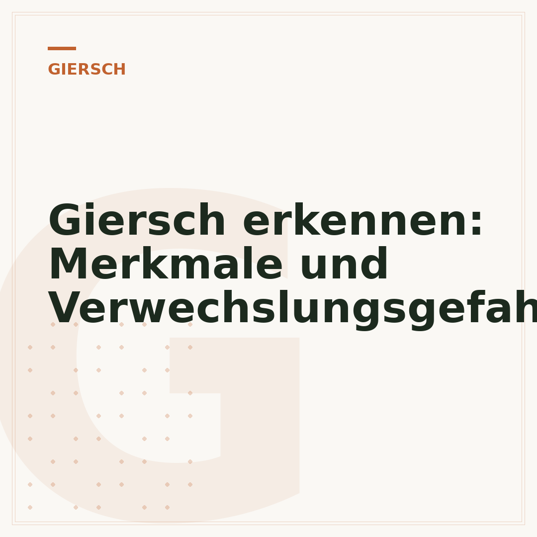 Giersch erkennen: Merkmale und Verwechslungsgefahr