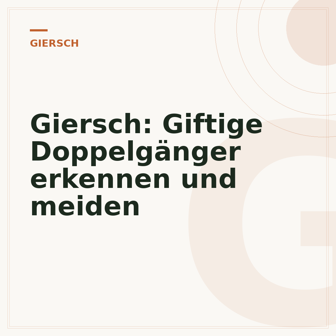 Giersch: Giftige Doppelgänger erkennen und meiden