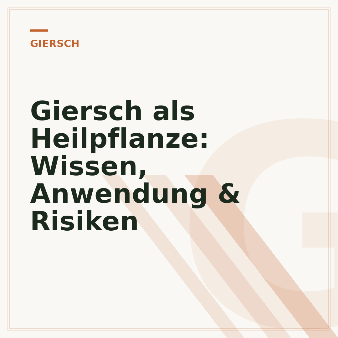 Giersch als Heilpflanze: Wissen, Anwendung & Risiken