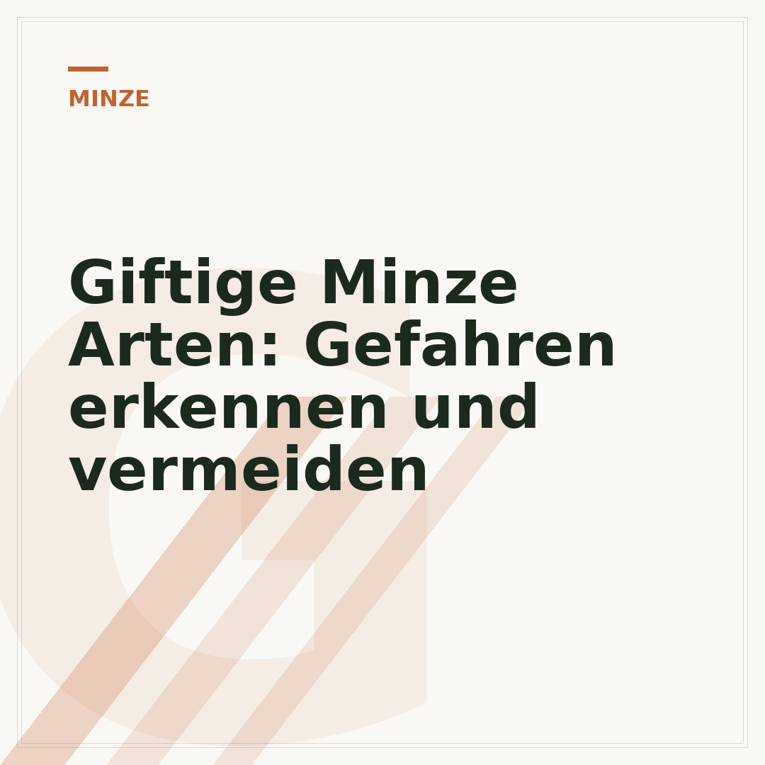Giftige Minze Arten: Gefahren erkennen und vermeiden