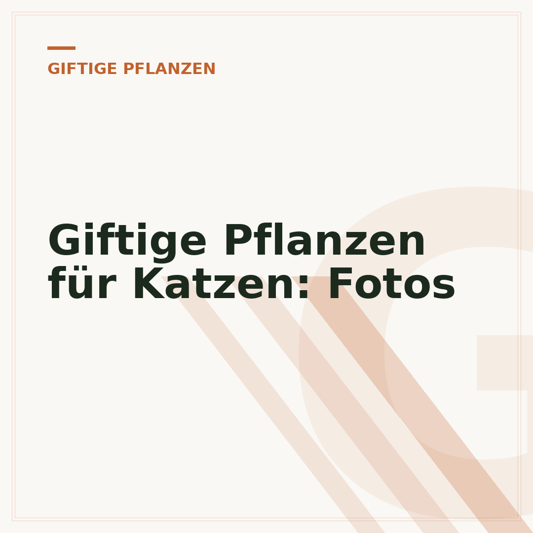 Giftige Pflanzen für Katzen: Fotos