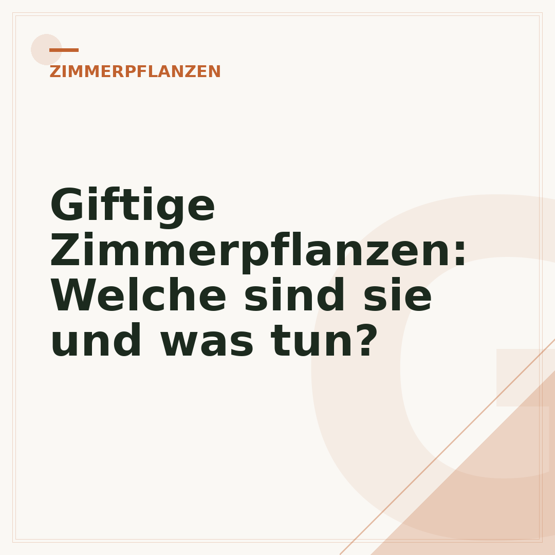 Giftige Zimmerpflanzen: Welche sind sie und was tun?