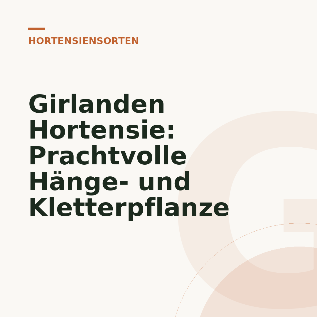 Girlanden Hortensie: Prachtvolle Hänge- und Kletterpflanze