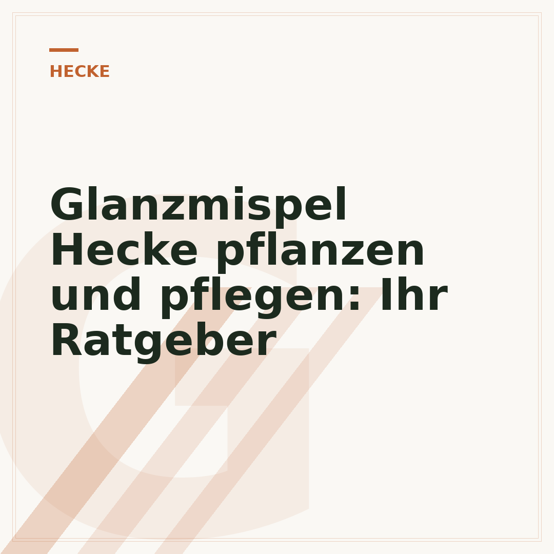Glanzmispel Hecke pflanzen und pflegen: Ihr Ratgeber