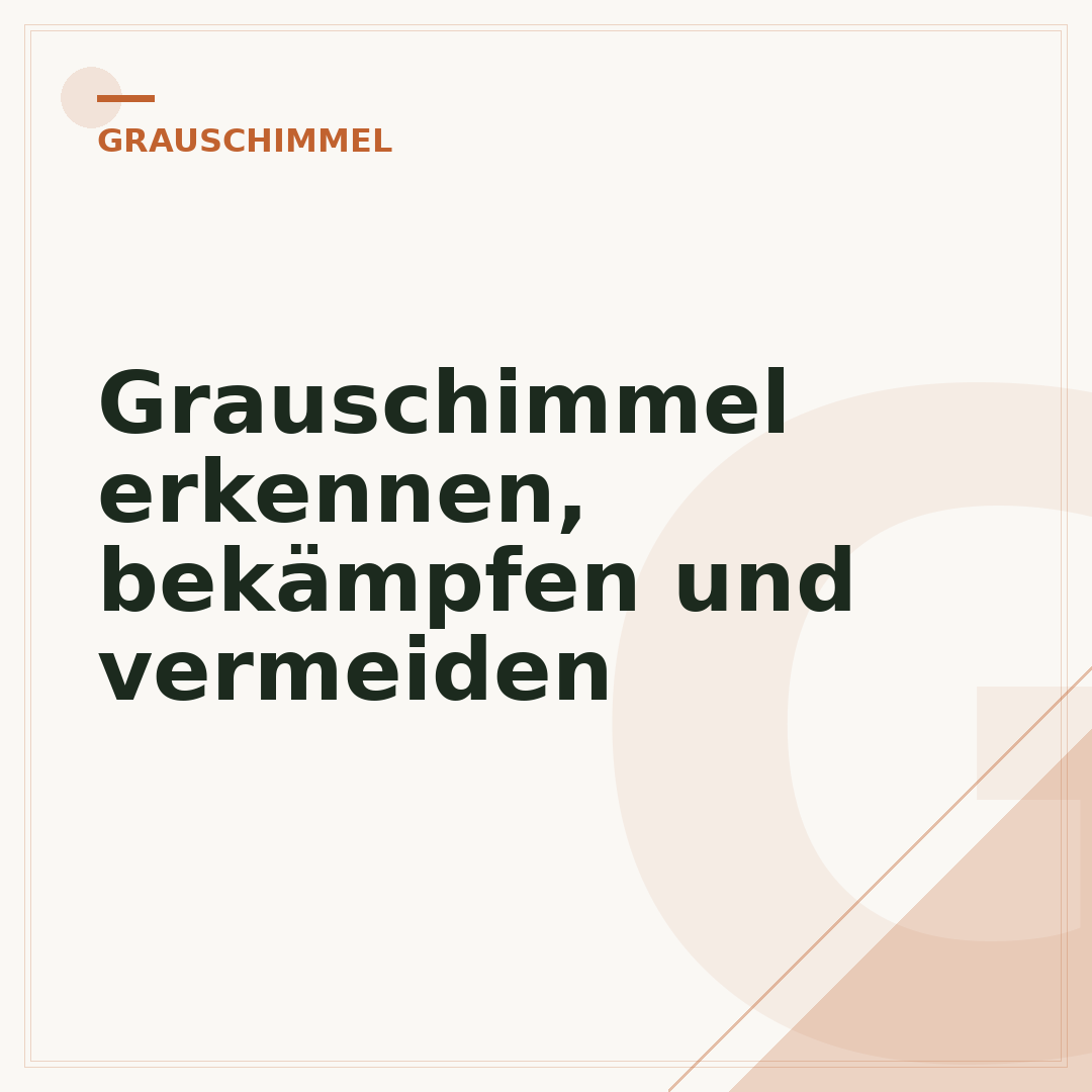 Grauschimmel erkennen, bekämpfen und vermeiden