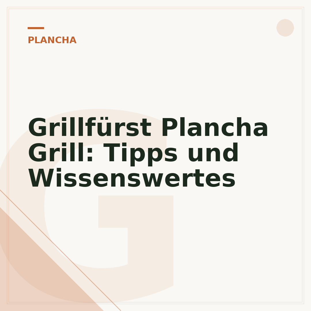 Grillfürst Plancha Grill: Tipps und Wissenswertes