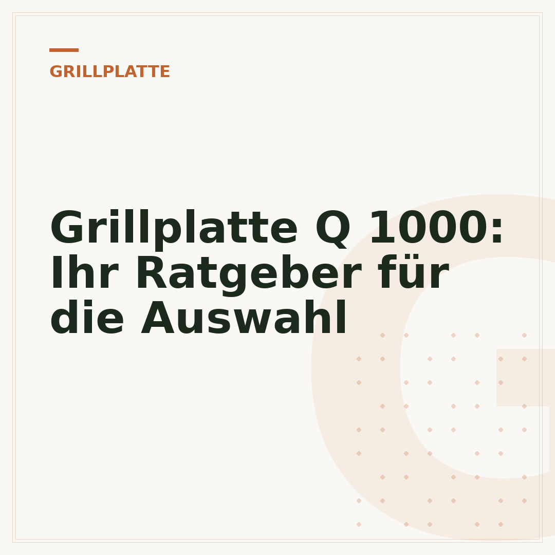 Grillplatte Q 1000: Ihr Ratgeber für die Auswahl