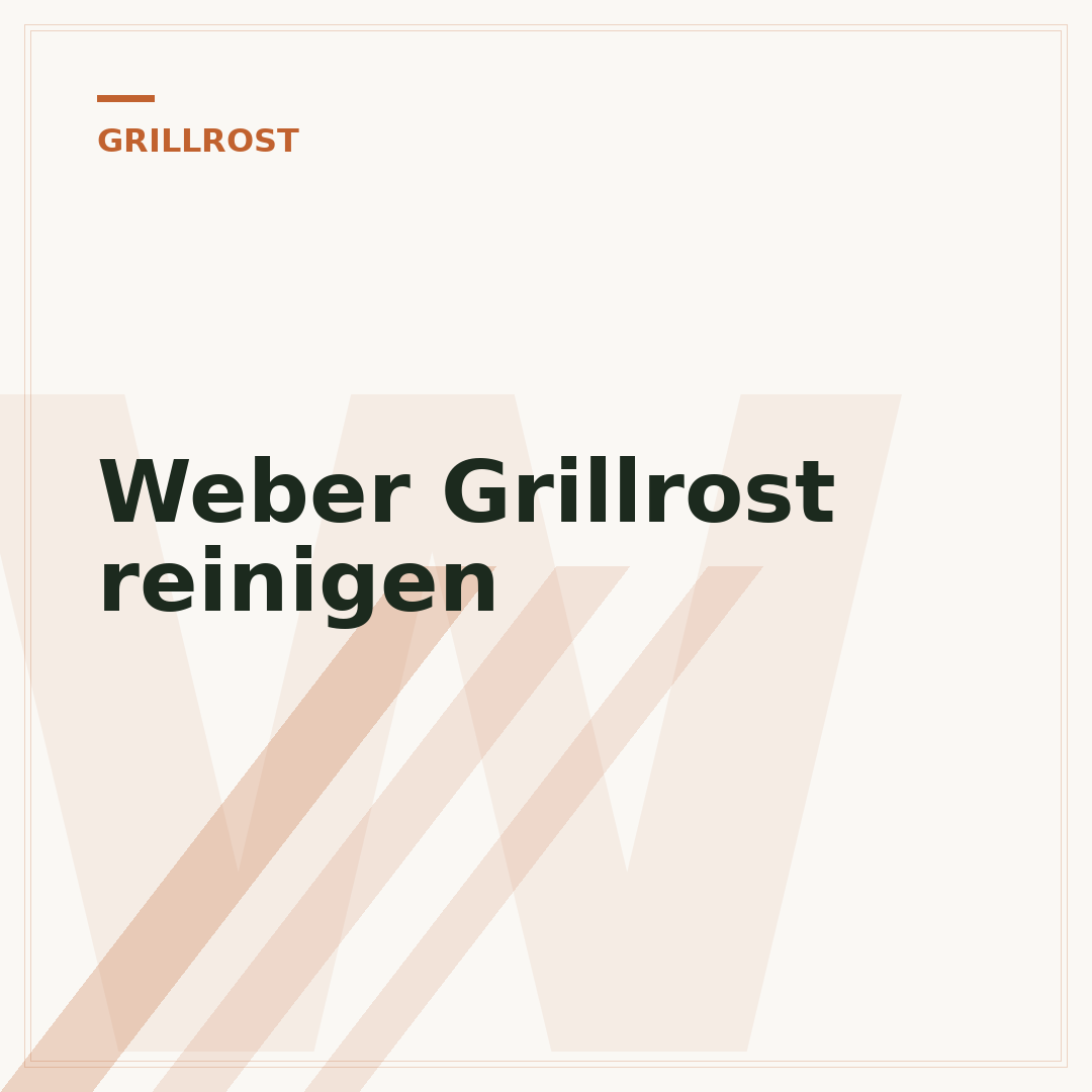 Weber Grillrost reinigen