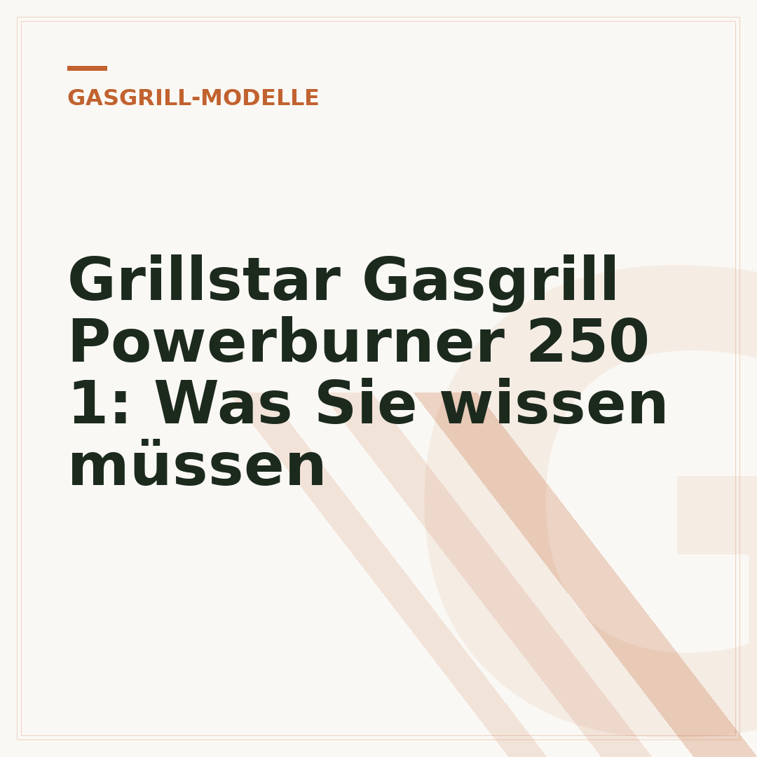 Grillstar Gasgrill Powerburner 250 1: Was Sie wissen müssen