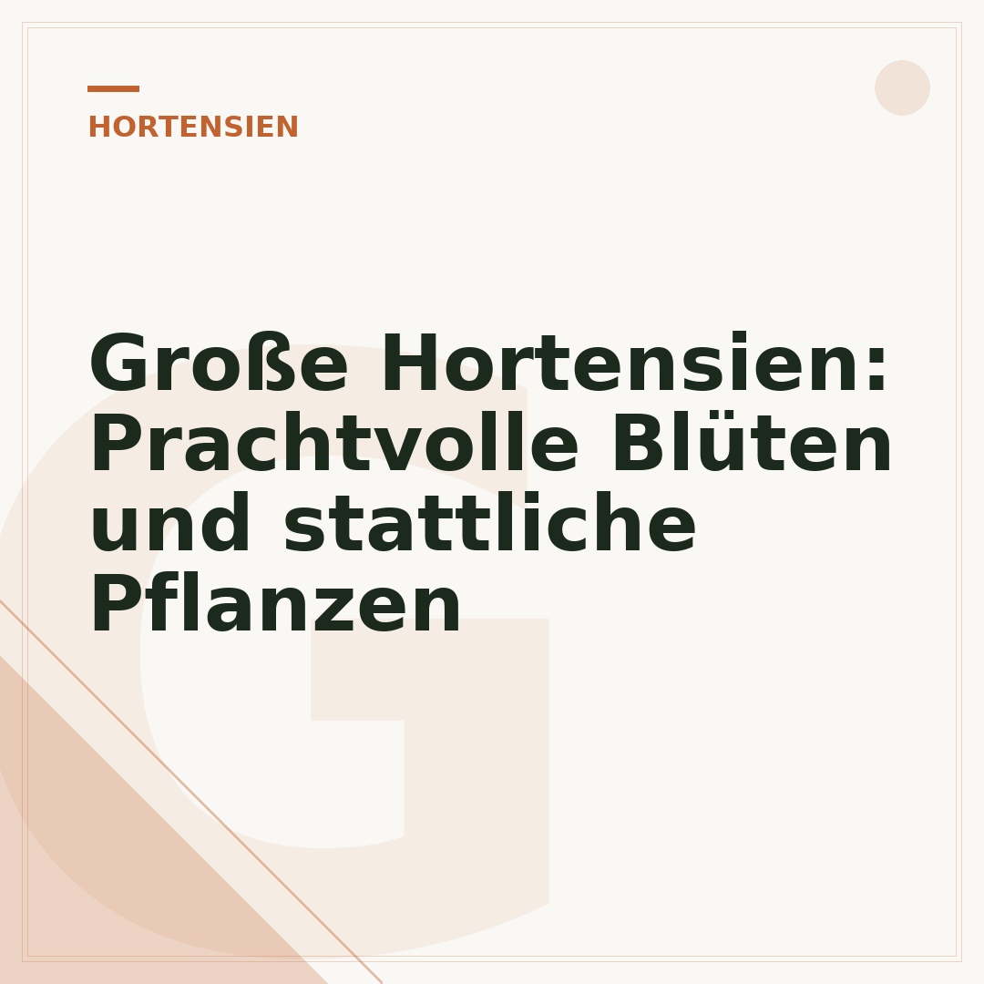 Große Hortensien: Prachtvolle Blüten und stattliche Pflanzen