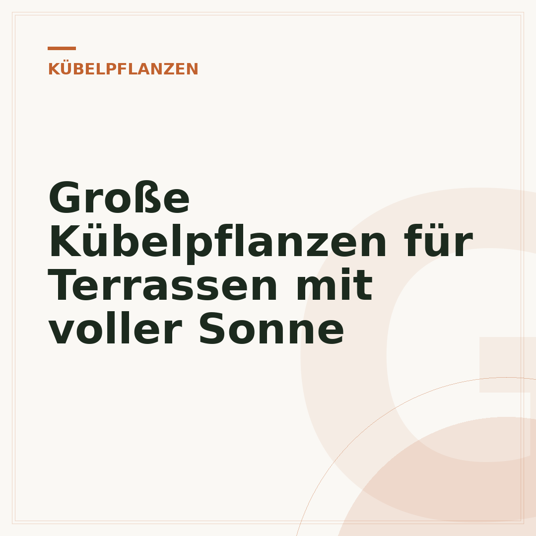 Große Kübelpflanzen für Terrassen mit voller Sonne
