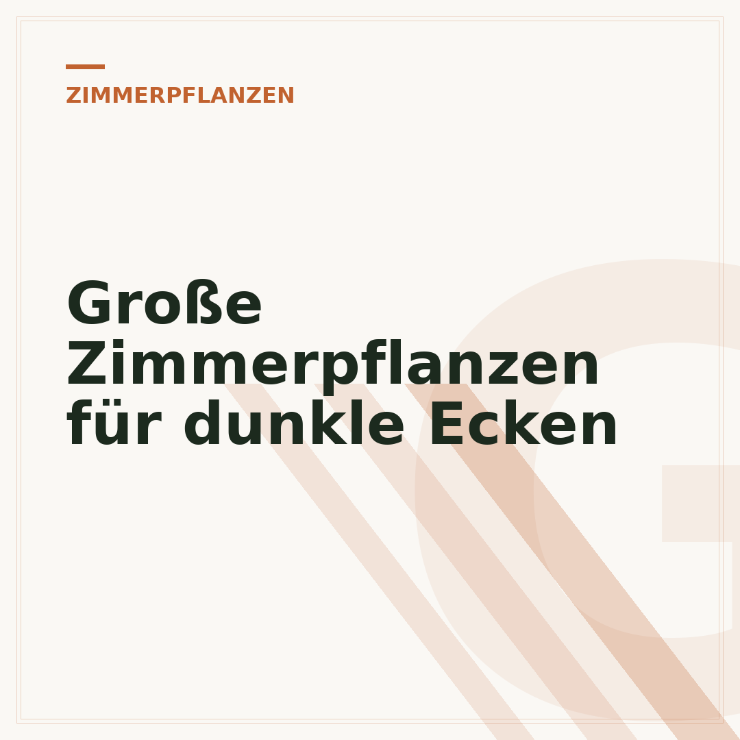 Große Zimmerpflanzen für dunkle Ecken