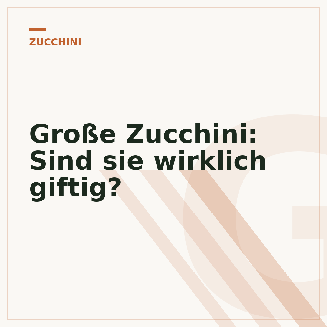 Große Zucchini: Sind sie wirklich giftig?