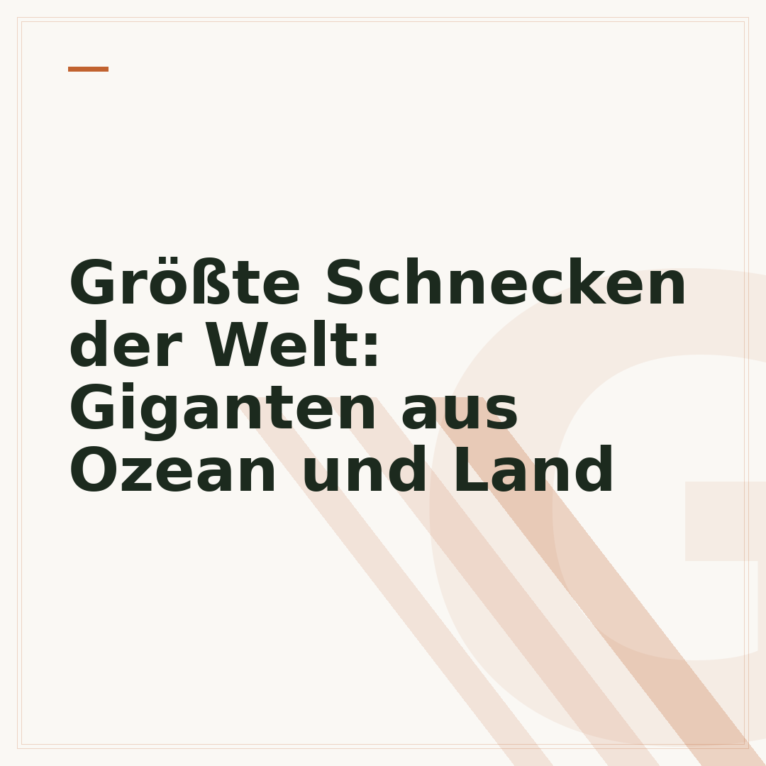 Größte Schnecken der Welt: Giganten aus Ozean und Land