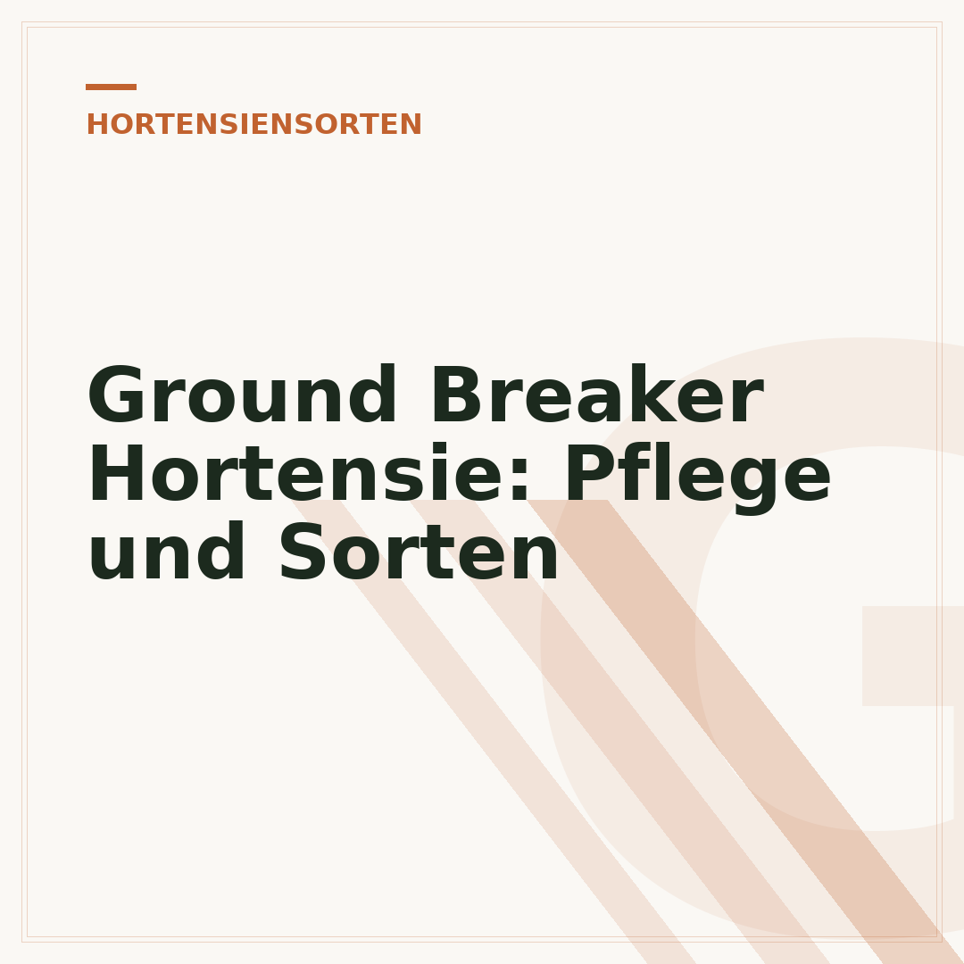 Ground Breaker Hortensie: Pflege und Sorten