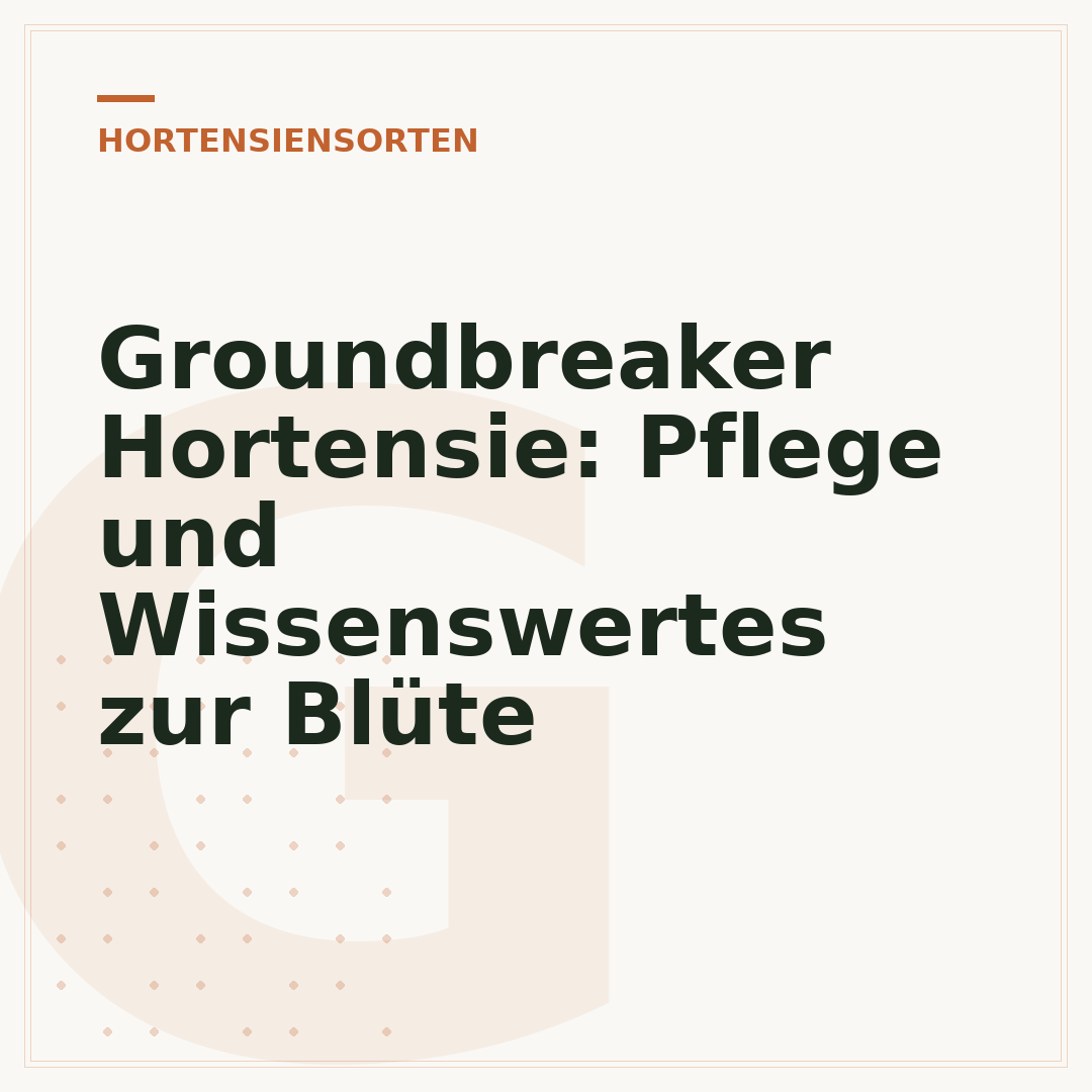Groundbreaker Hortensie: Pflege und Wissenswertes zur Blüte