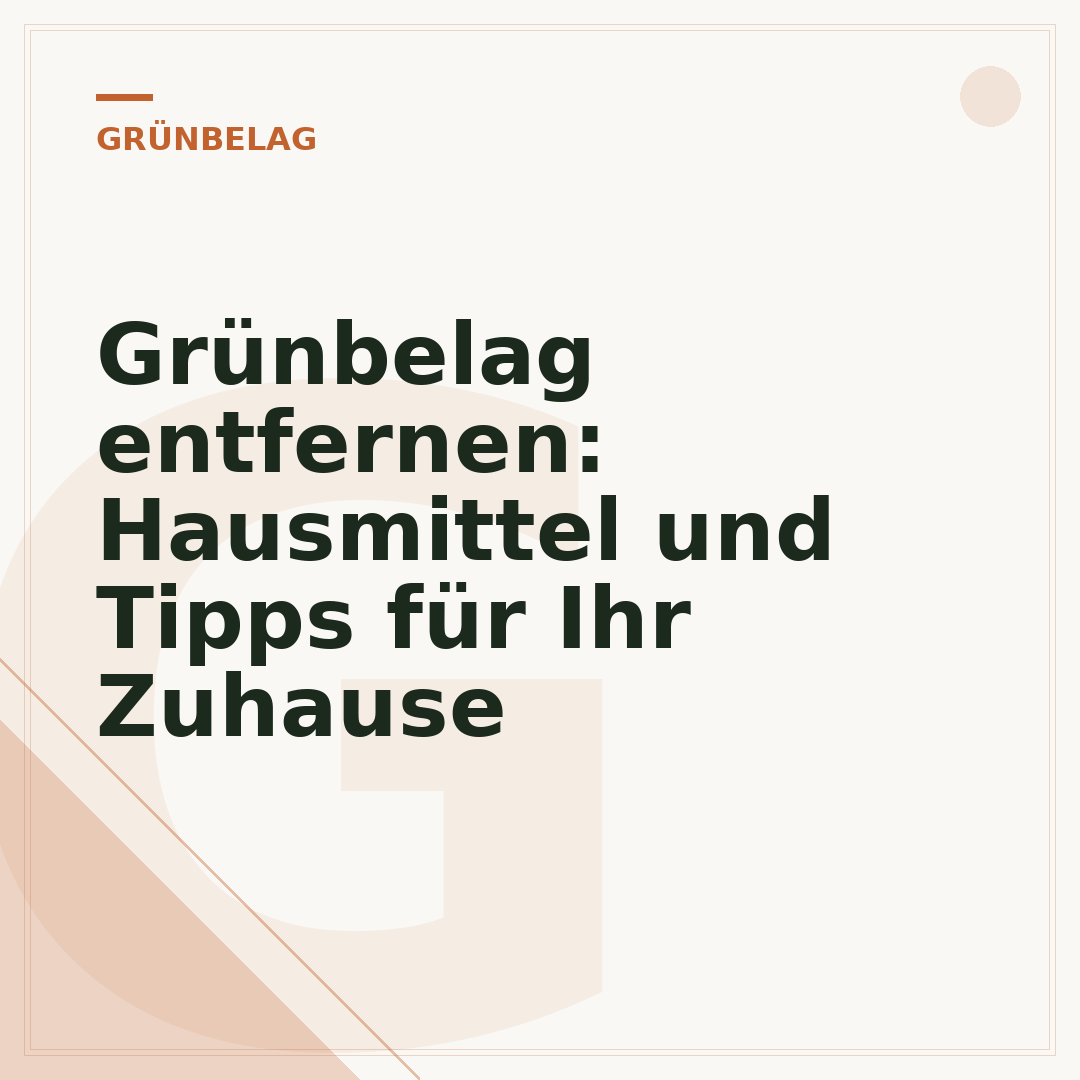 Grünbelag entfernen: Hausmittel und Tipps für Ihr Zuhause