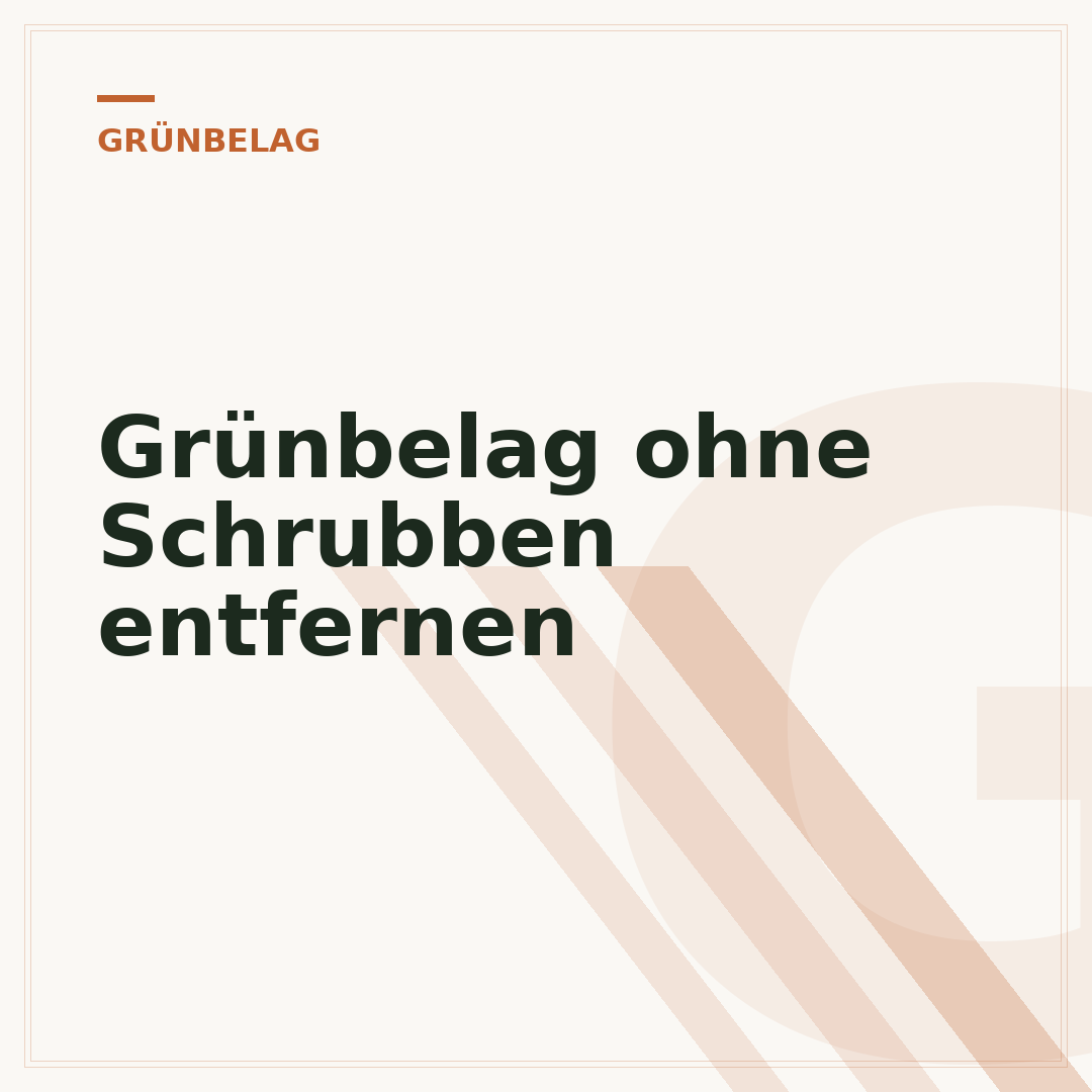 Grünbelag ohne Schrubben entfernen