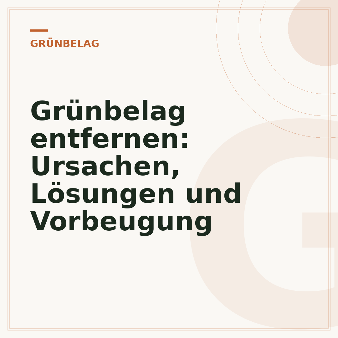 Grünbelag entfernen: Ursachen, Lösungen und Vorbeugung