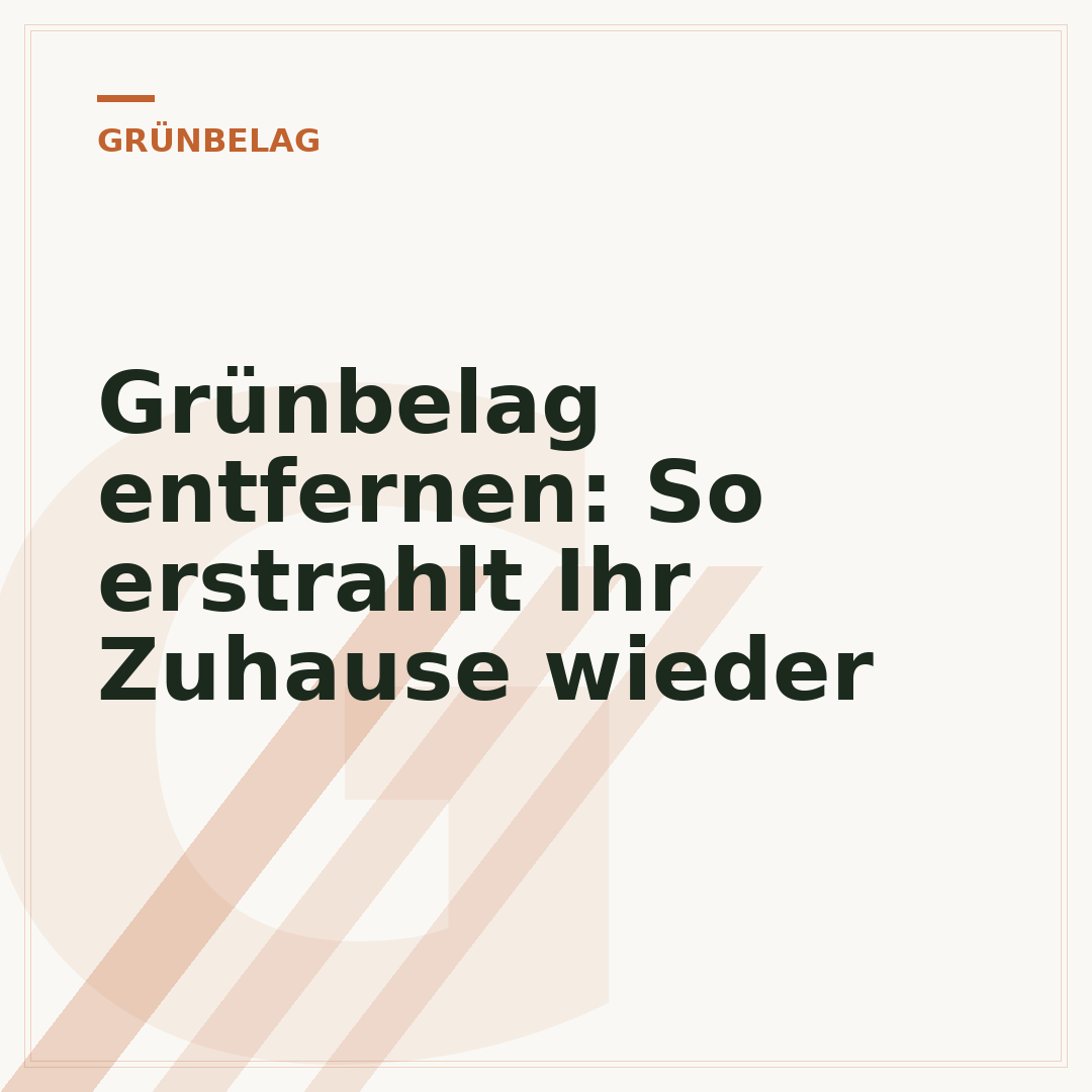 Grünbelag entfernen: So erstrahlt Ihr Zuhause wieder