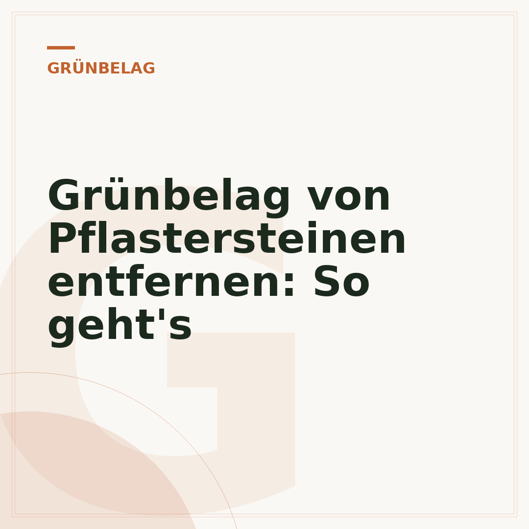 Grünbelag von Pflastersteinen entfernen: So geht's